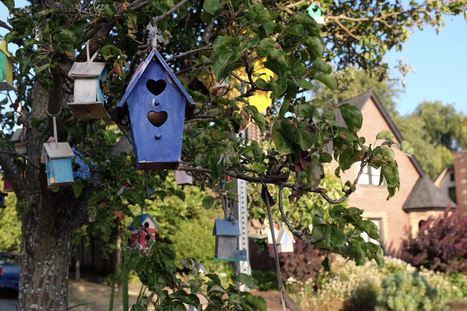 Photo from Wednesday, July 28th 2021