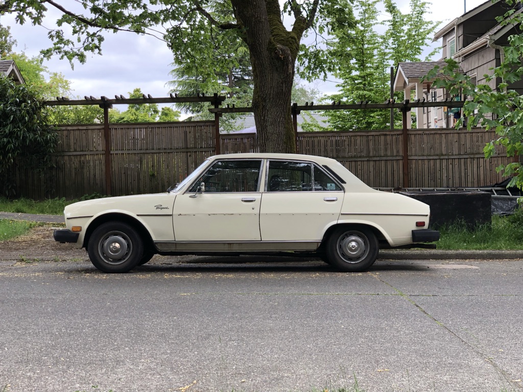 Photo from Friday, May 21st 2021