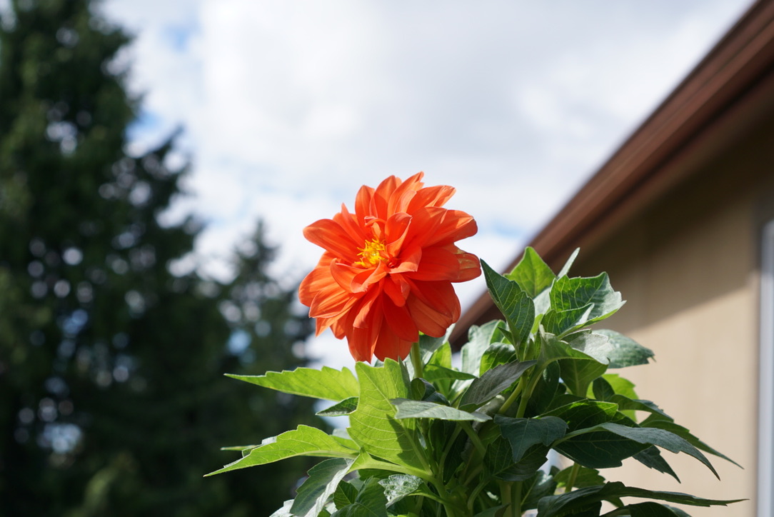 Photo from Thursday, May 20th 2021